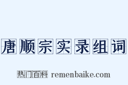 唐顺宗实录组词是什么意思的图片